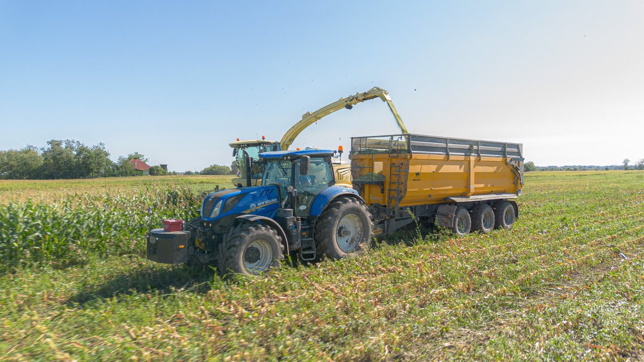 Krone BIG-X 1180 - Silage - Buona SRO
