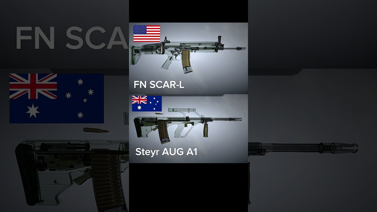 FN SCAR-L vs Steyr AUG A1 ☠️