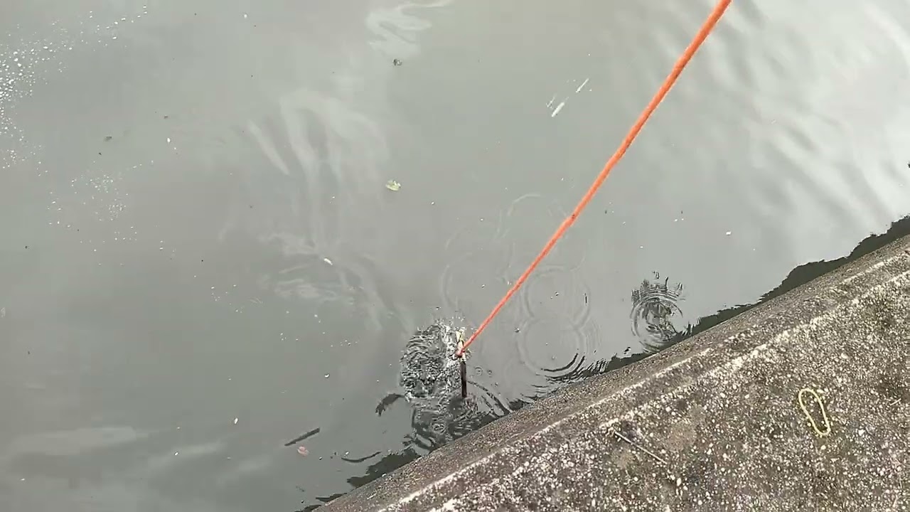 Mancing magnet kali ini gak expect dapet nya #mancingmagnet #magnetsantuy #seru #yt #youtube 