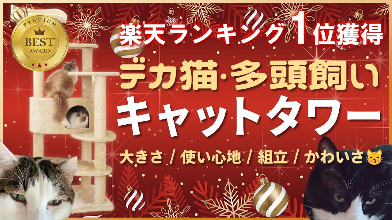 楽天ランキング1位！のビッグ版【 #キャットタワー 】今年もモフーサンタ🎅が良い子（猫）にプレゼント！デカ猫、多頭飼いにおススメのキャットタワーを贈ってみた（クリスマス）