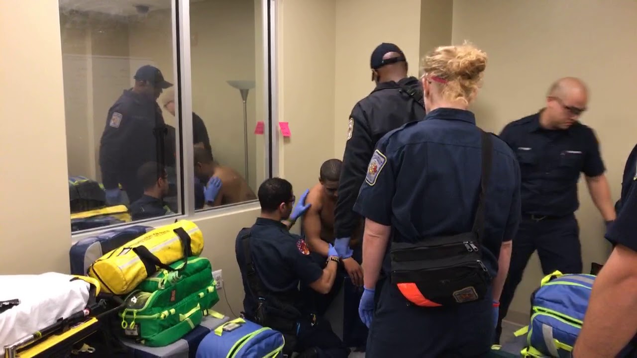 Paramedic Interns Working Toward Advanced Life Support Provider Authorization
