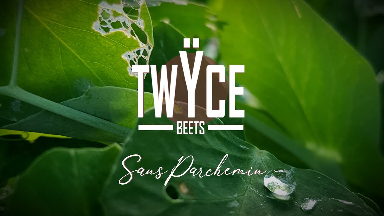 Sans Parchemin - Twÿce Beets