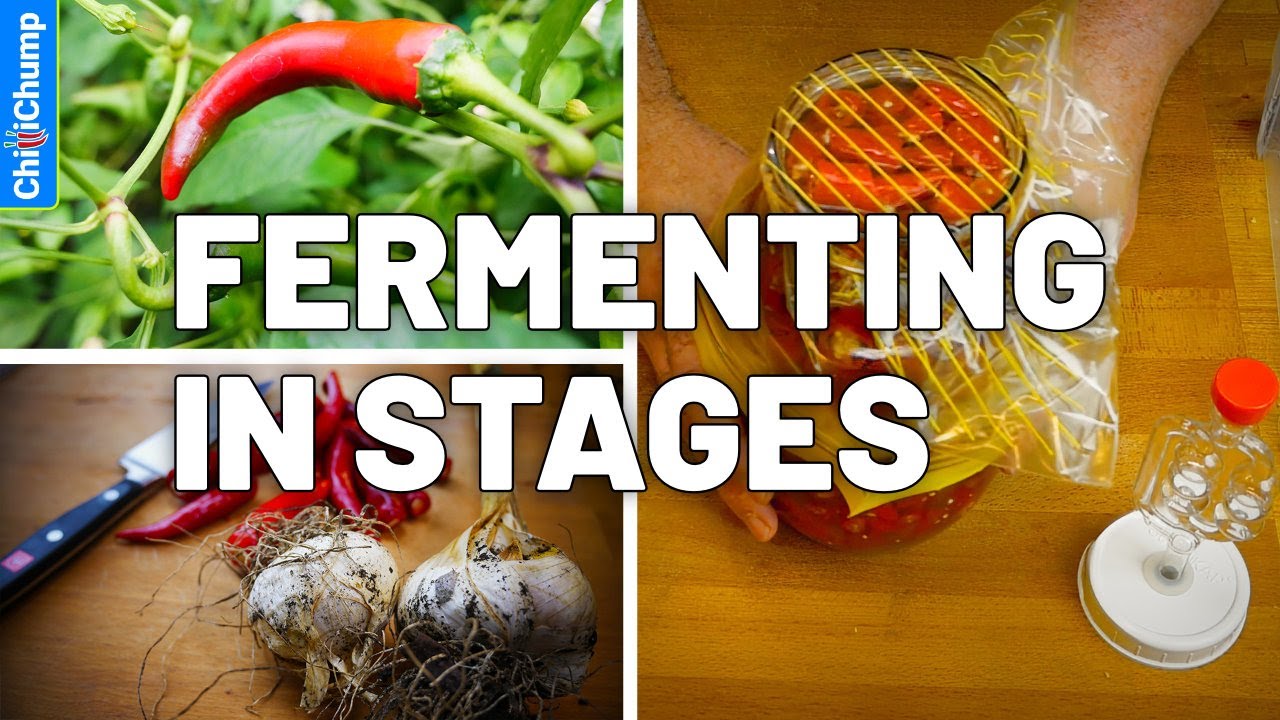 The Best Way to Ferment Peppers When They Don&rsquo;t Ripen All at Once