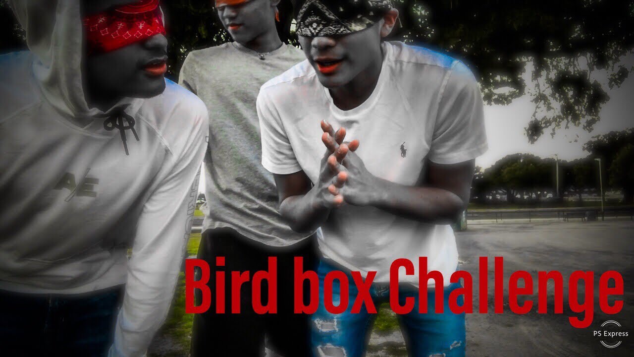 Bird Box Challenge!! Gone Wrong, Extreme