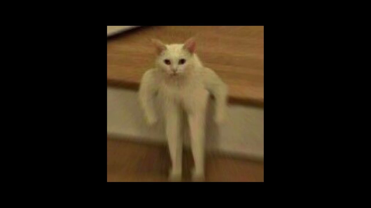 Don't Wanna Know - Maroon 5 (sped up)