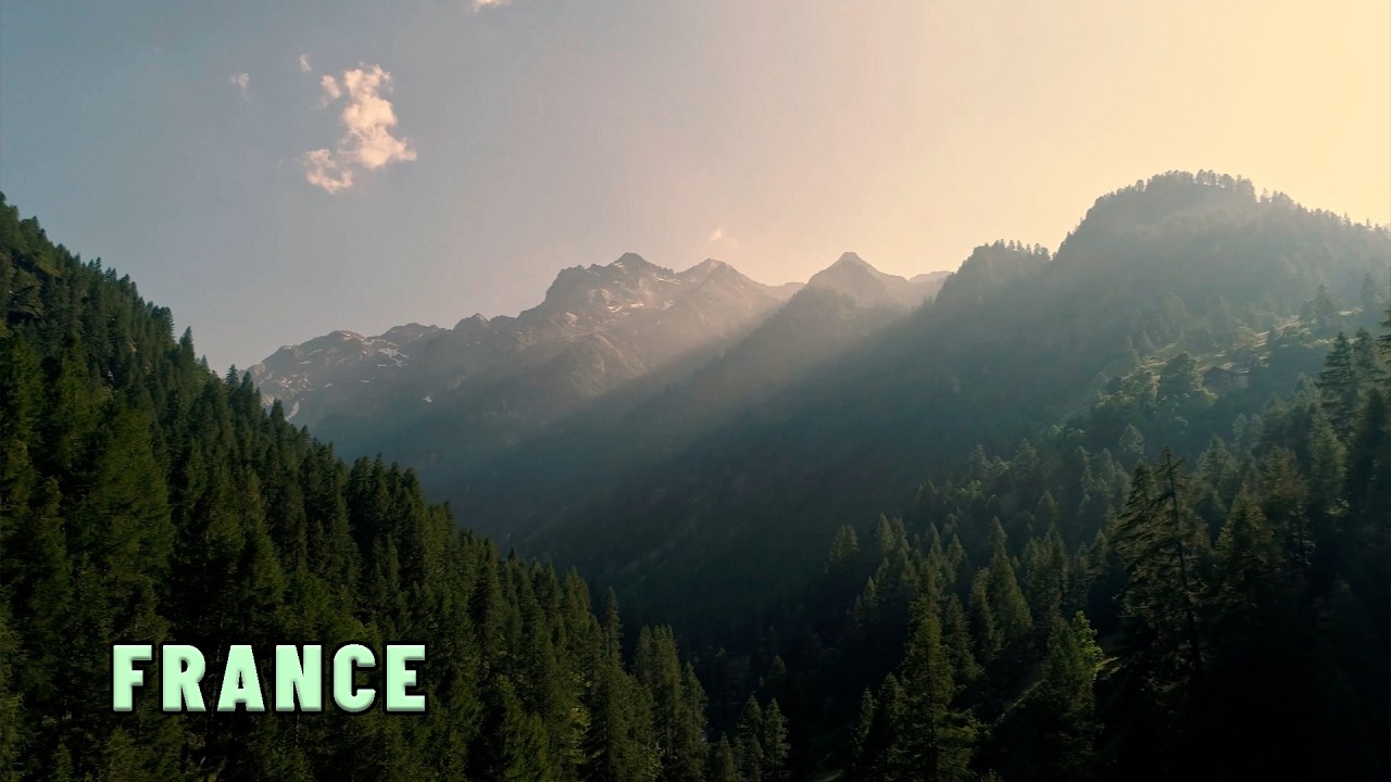 La France sauvage  | Documentaire animalier