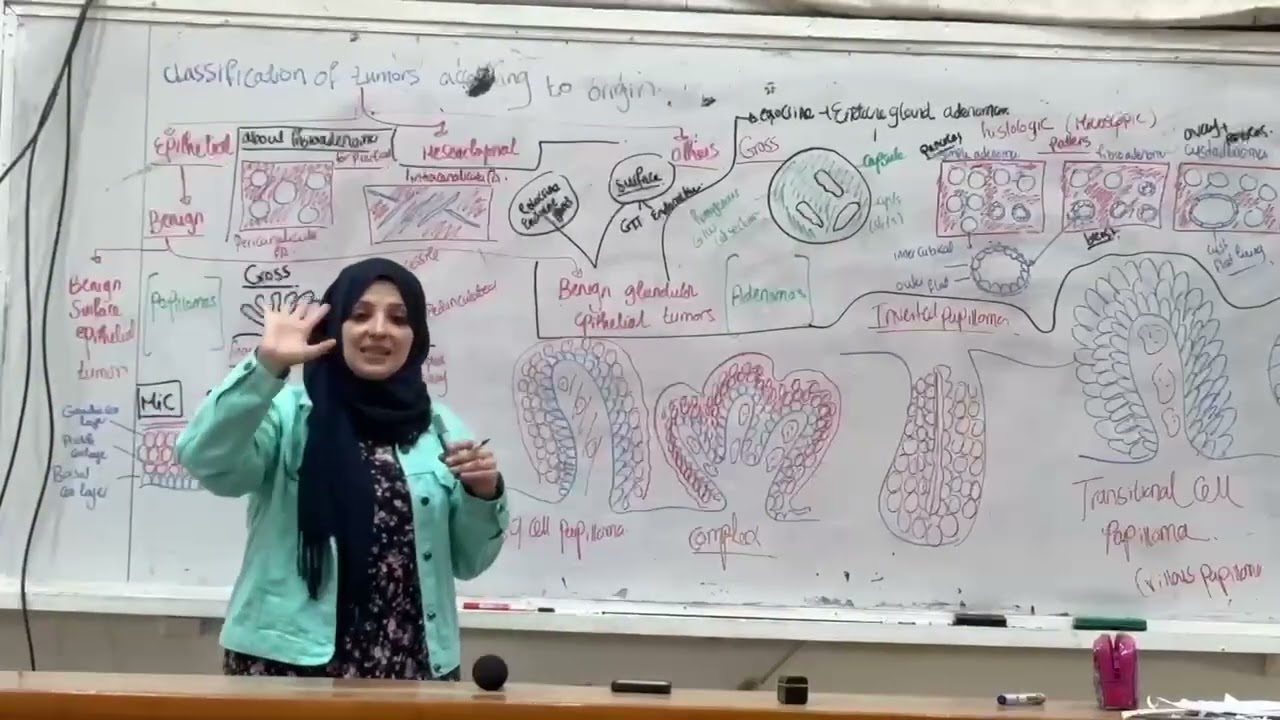 Neoplasia 4th lecture (2026)