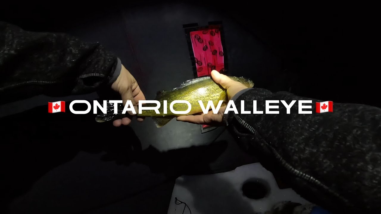 Calabogie Lake, Ontario - Ice fishing the evening bite for Walleye 