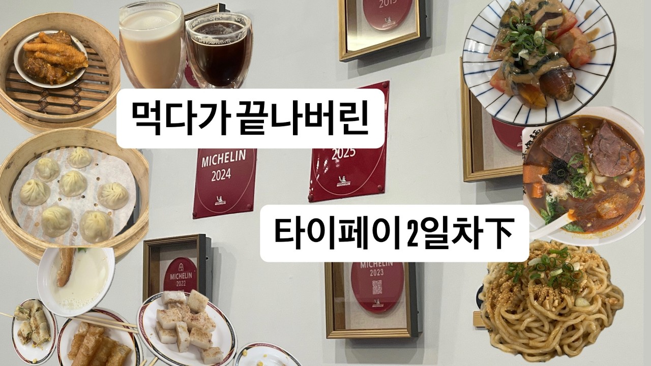 효도 관광으로 둔갑한 무한 이동 식사 브이로그 [타이페이 2일차 下 ]