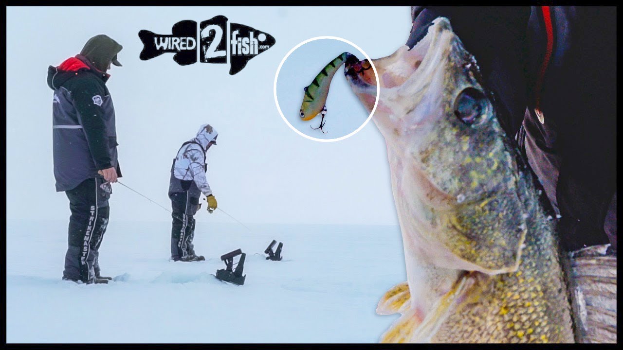 4 Lipless Crankbait Tips for Ice Fishing Walleyes