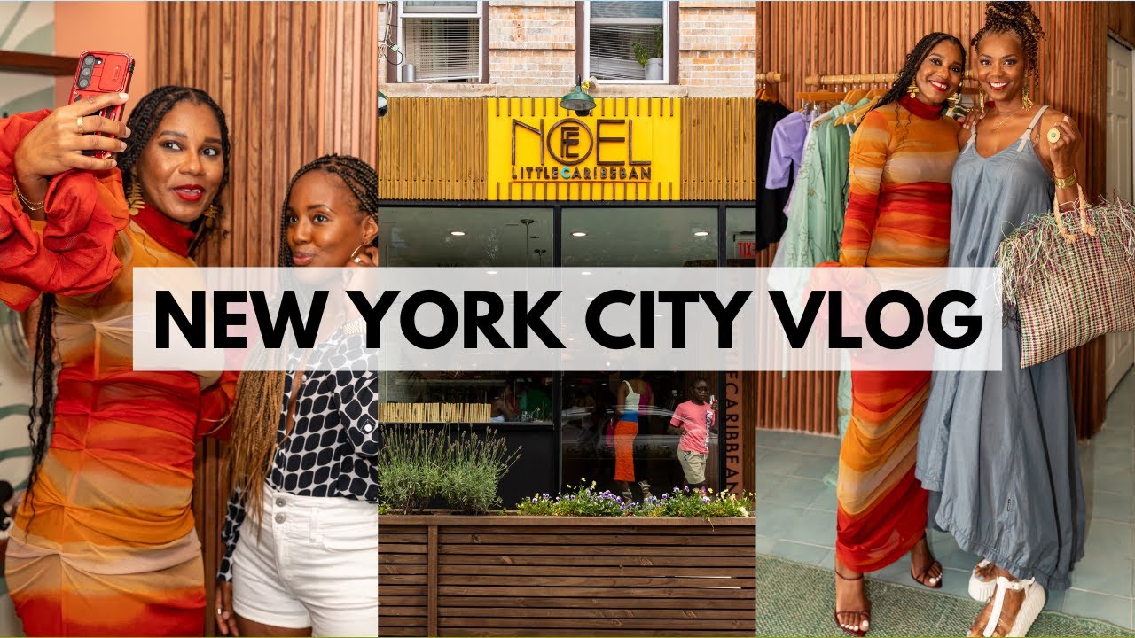 New York City Vlog! My Meet & Greet in Brooklyn, Gift Haul & House Hunting Chat ❤︎ MONROE STEELE