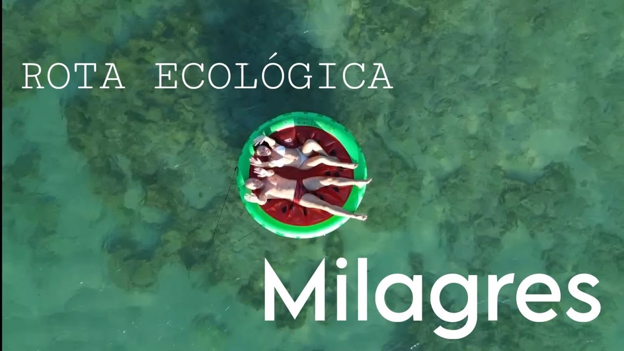 São Miguel dos Milagres - Alagoas | Rota ecológica, Porto de Pedras e praias lindas