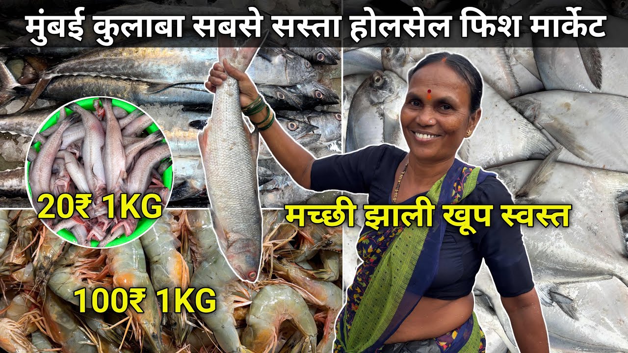 Colaba Fish Market | Fish Market Colaba | Sassoon Dock Fish Market | Wholesale Fish Market In Mumbai