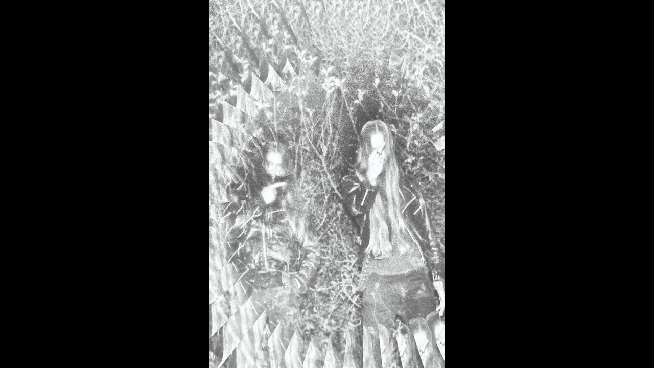 Moerasbasterdwederik (Netherlands) - Gebaag uit de banmade (Demo 2019)