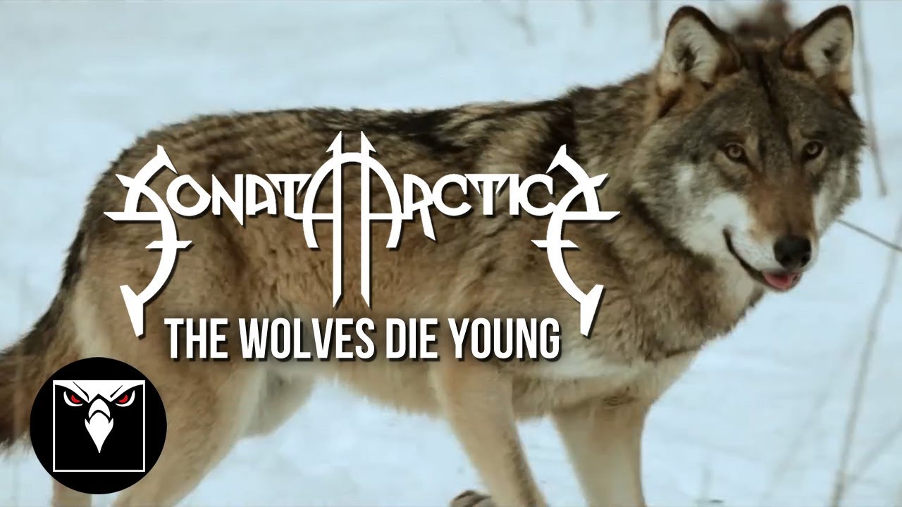 SONATA ARCTICA - The Wolves Die Young (Official Music Video)