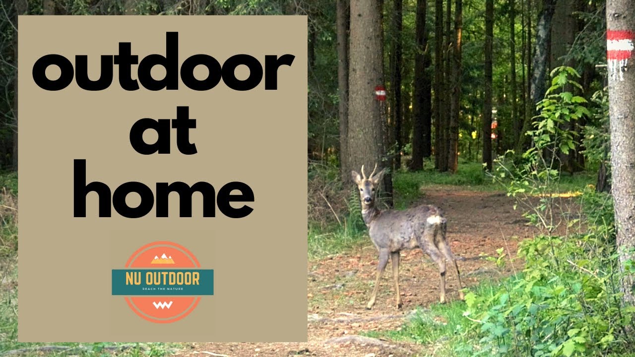 outdoor at home -walk in the local forest