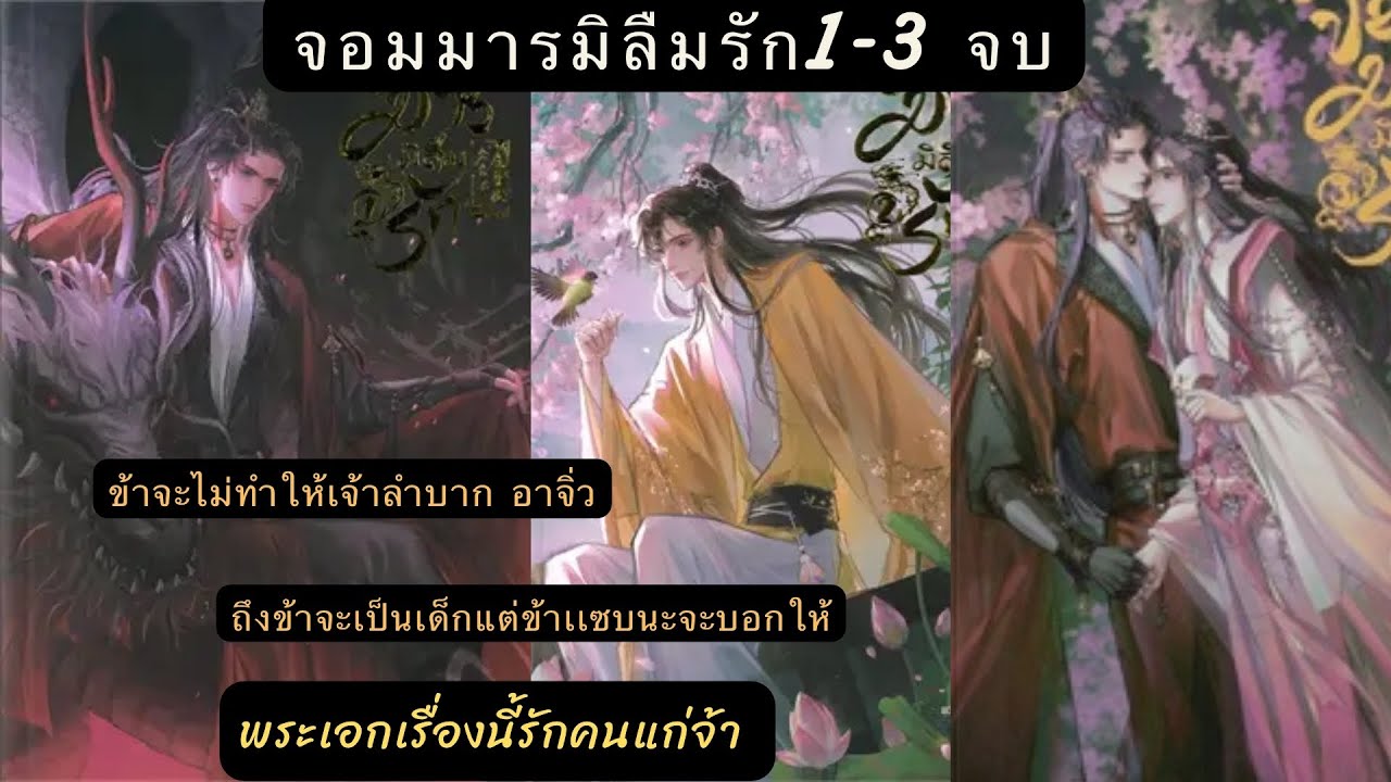 สรุป นิยาย จอมมารมิลืมรัก เล่ม 1-3จบพระเอกเป็นลูกชายพรรคมารที่ตามหาเมีย  เรื่องนี้NCดี จ้า
