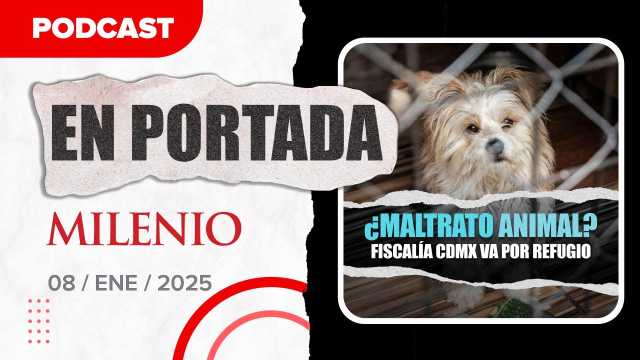 Destapan maltrato animal en Refugio Franciscano en CdMx | Noticias de hoy 08/01/2026 #Podcast