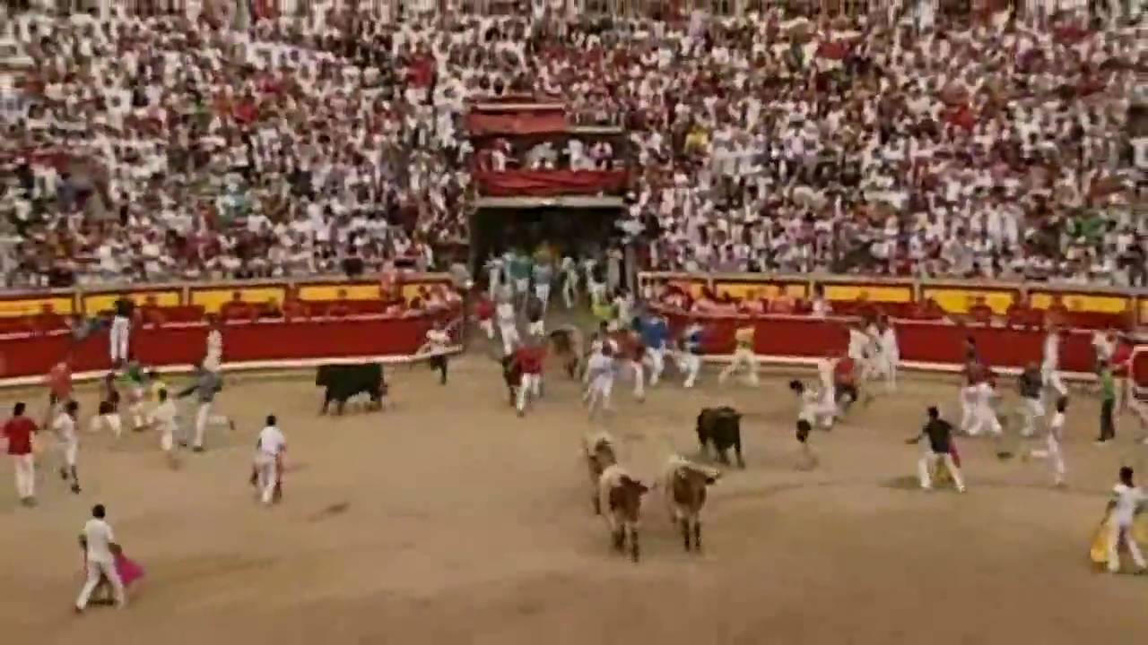 Nine injured on final day of bull running festival