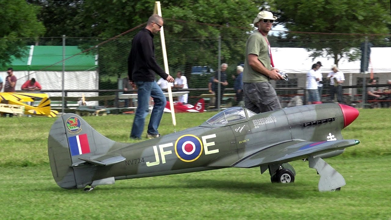 Hawker Tempest Mk.V - Scale 1/5