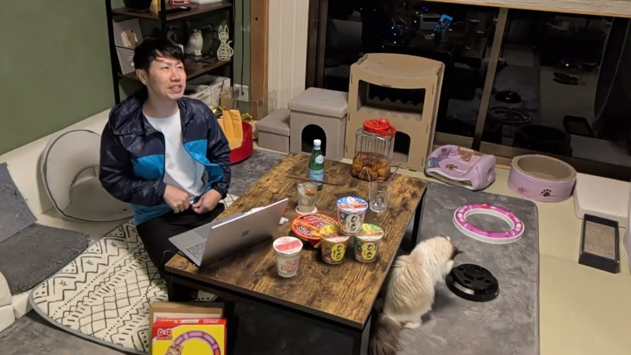我が家の猫の日飼い主Ｋ２ごはん