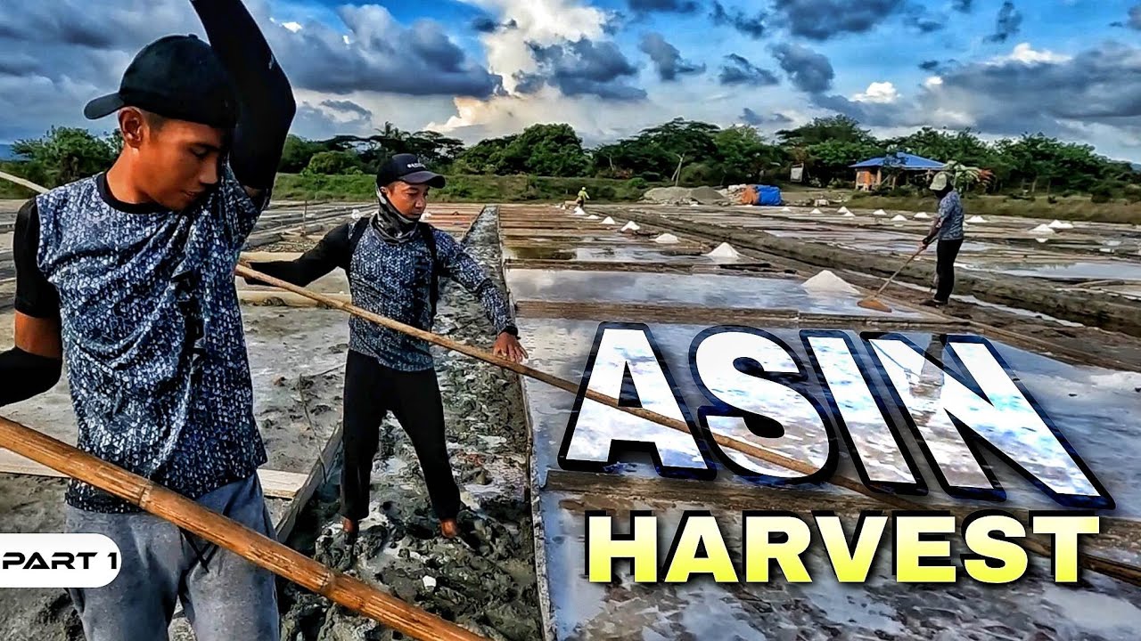 EP984-P1 - Pagkayod ng Asin