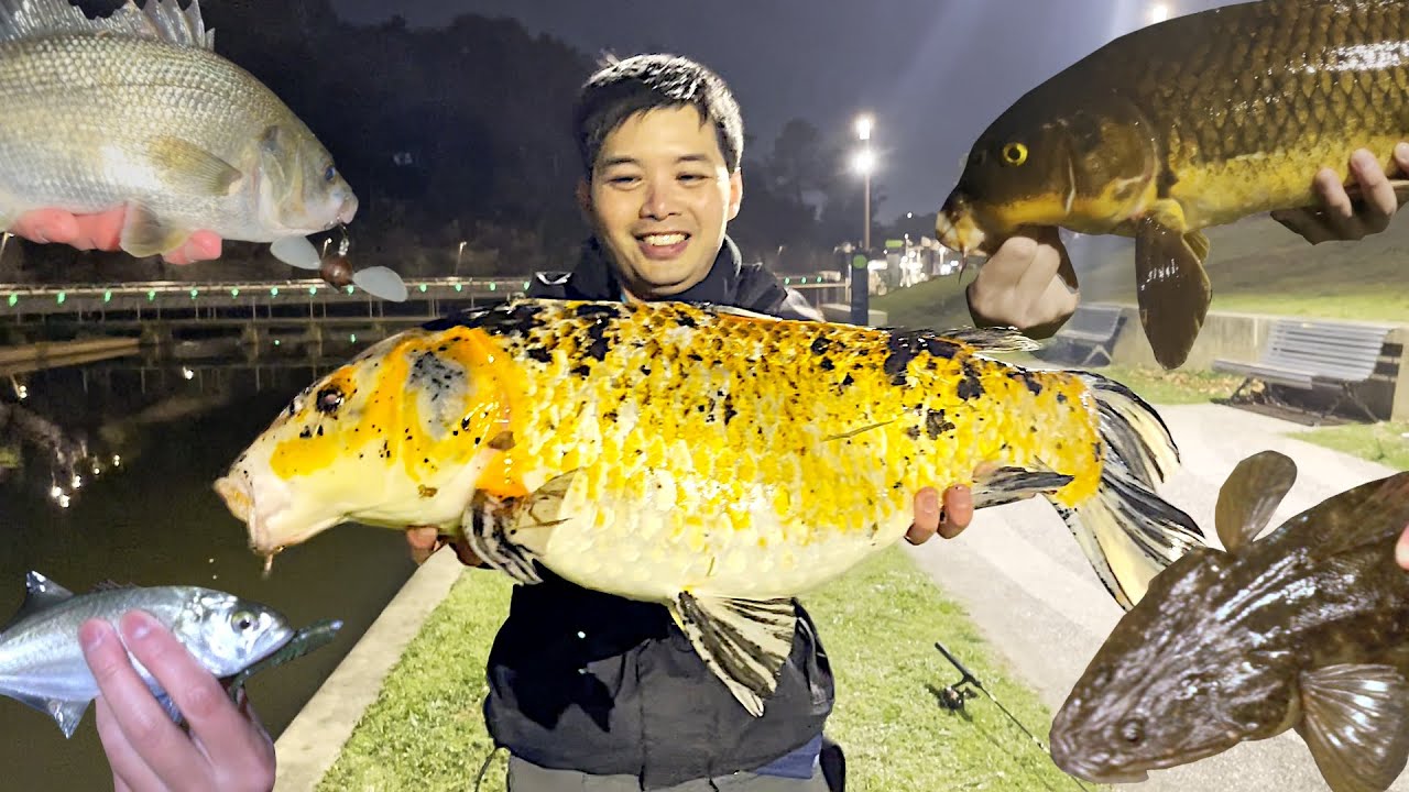 Multi-Species Fishing Challenge! (MONSTER hookup!)