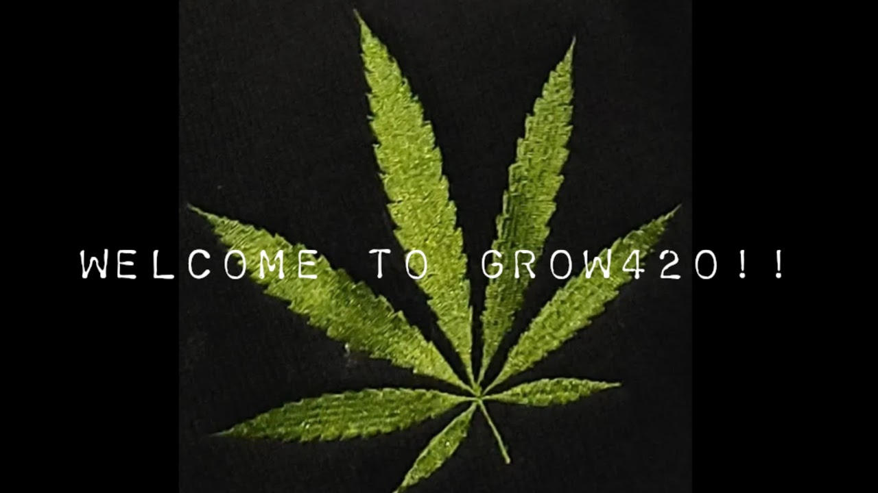 2025 Stoner Games Cup Awards Ceremony