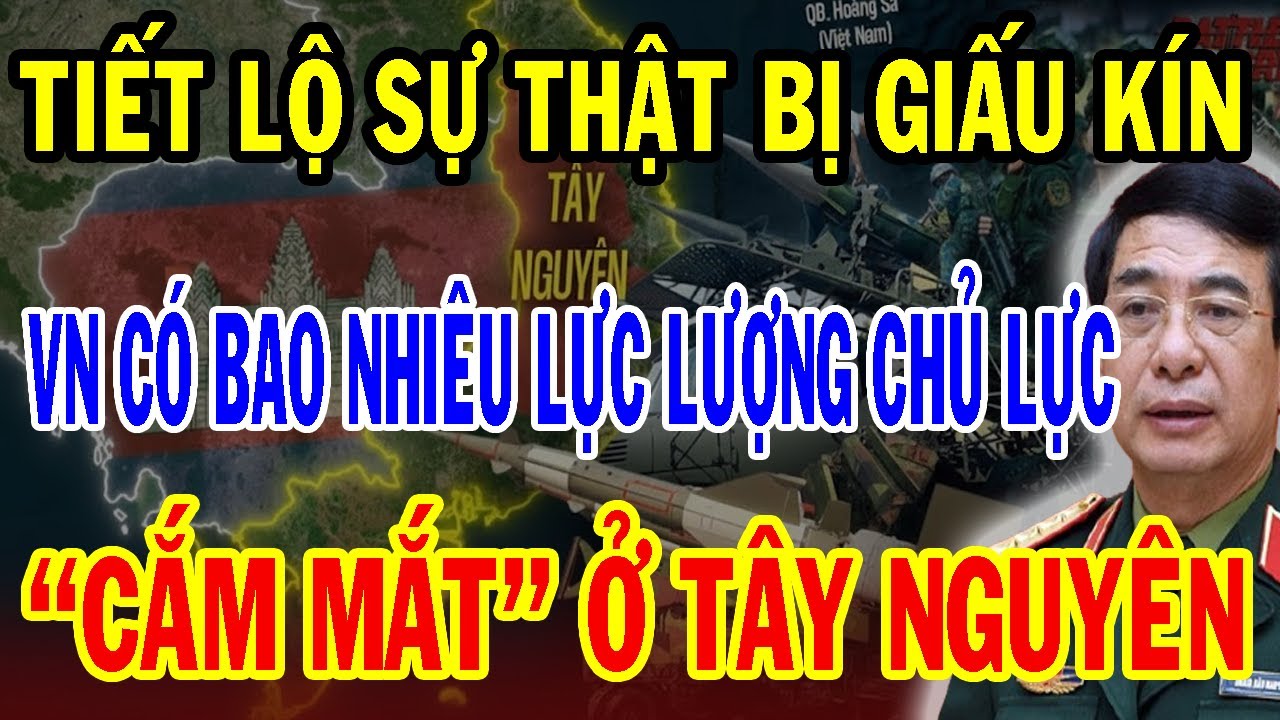 Chấn Động: Giải Mã Việt Nam ĐANG CÓ BAO NHIÊU LỰC LƯỢNG CHỦ LỰC CHIẾN LƯỢC 