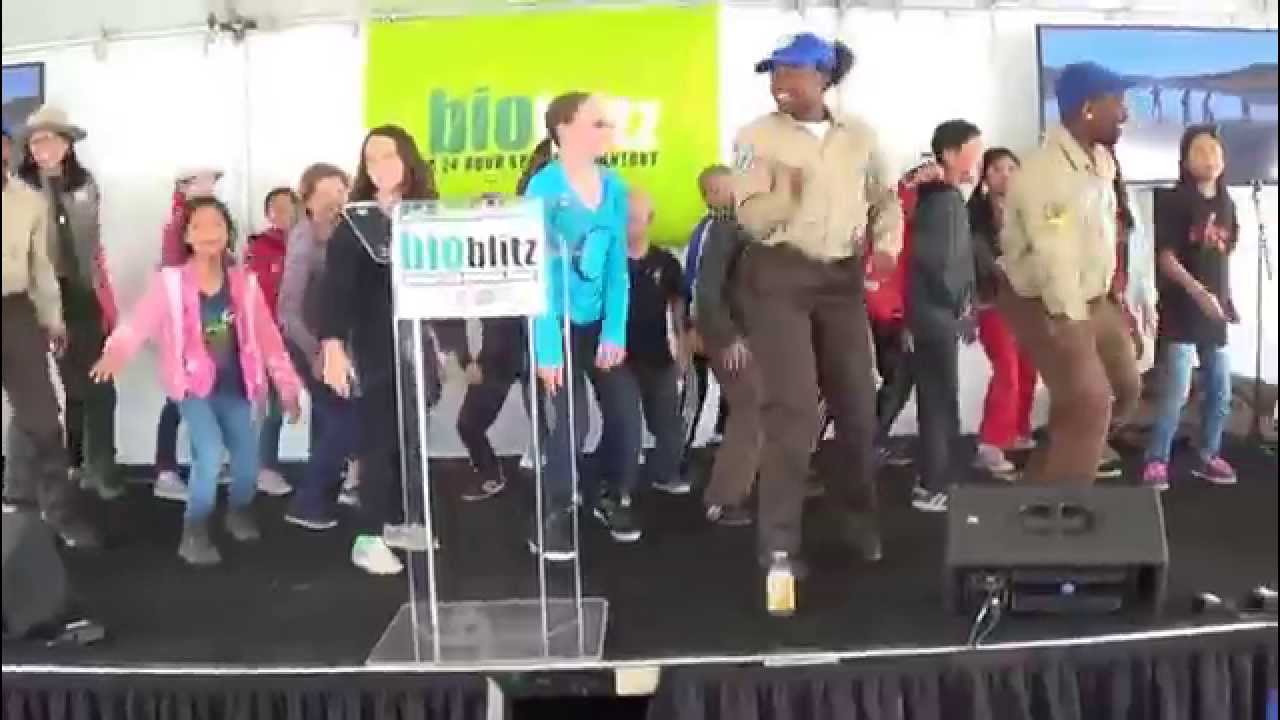 Unexpected Bioblitz Dance surprise at National Geographic's 2014 Bioblitz Event