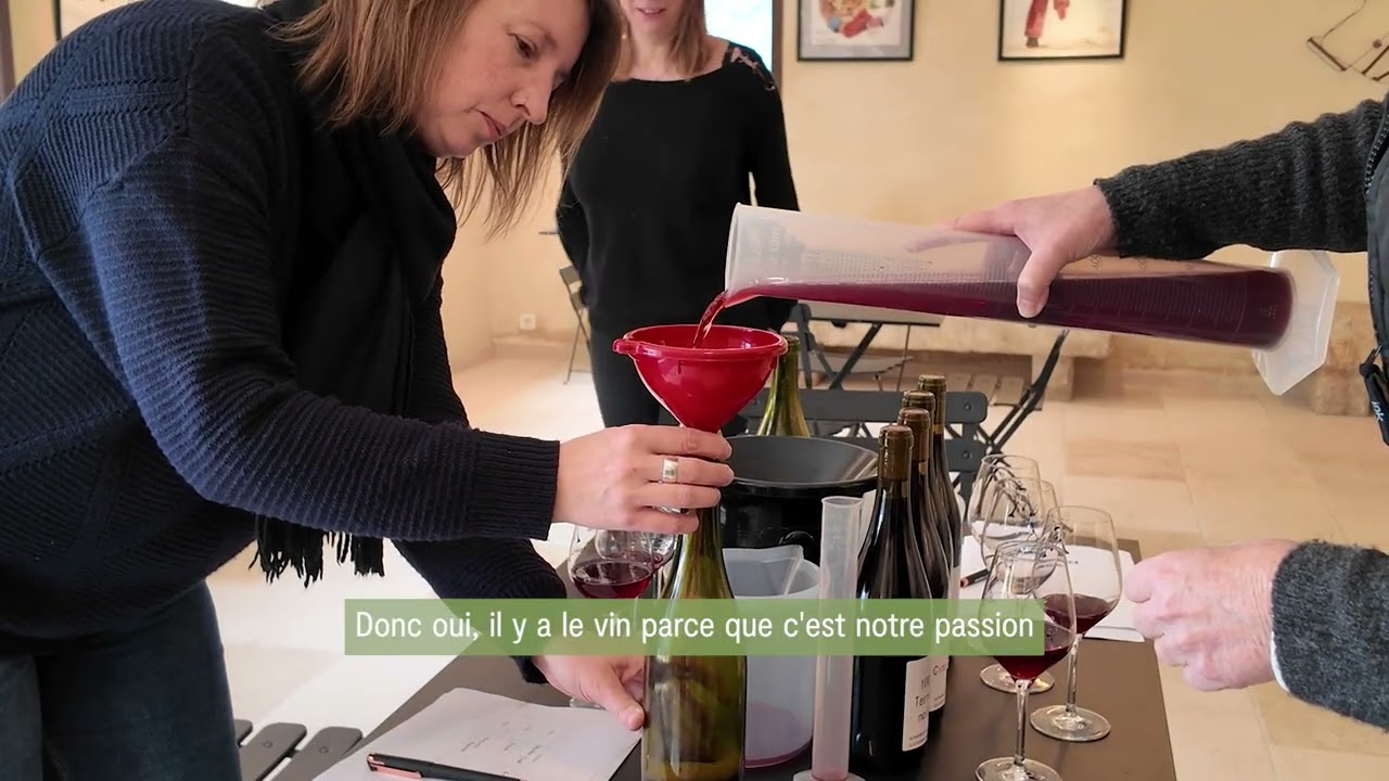 Entre vignes et partage : la passion du vin réinventée