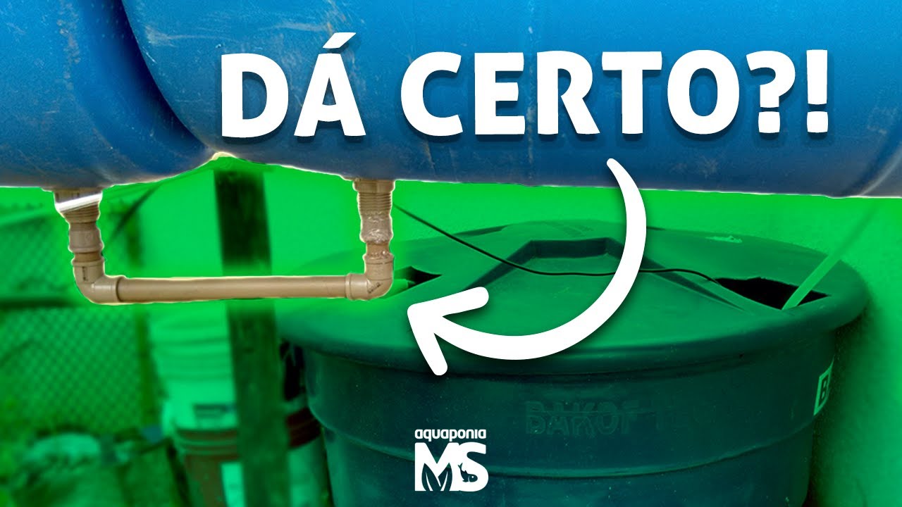 Interligar Camas de Cultivo... Dá certo?
