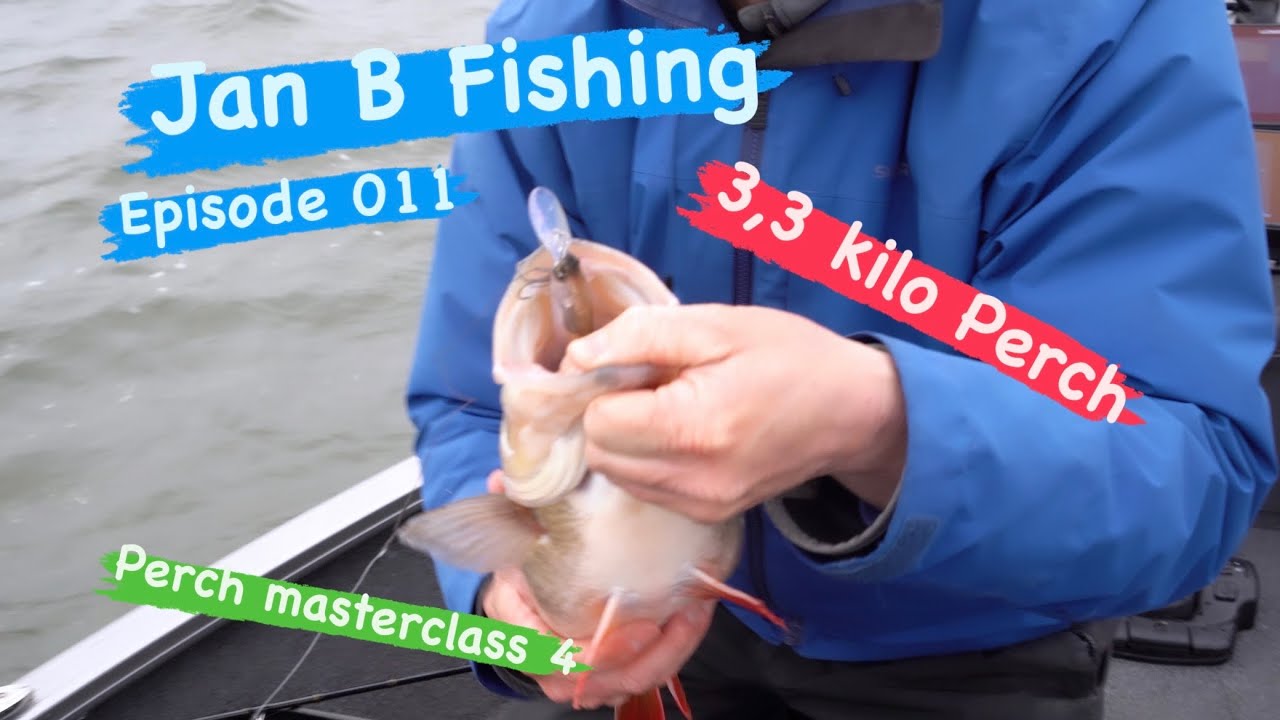 3,3 kilo Perch!! Perch masterclass 4 Episode 011