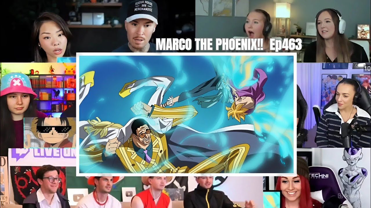 MARCO THE PHOENIX VS KIZARU!! 😱| One Piece 463 Reaction Mashup