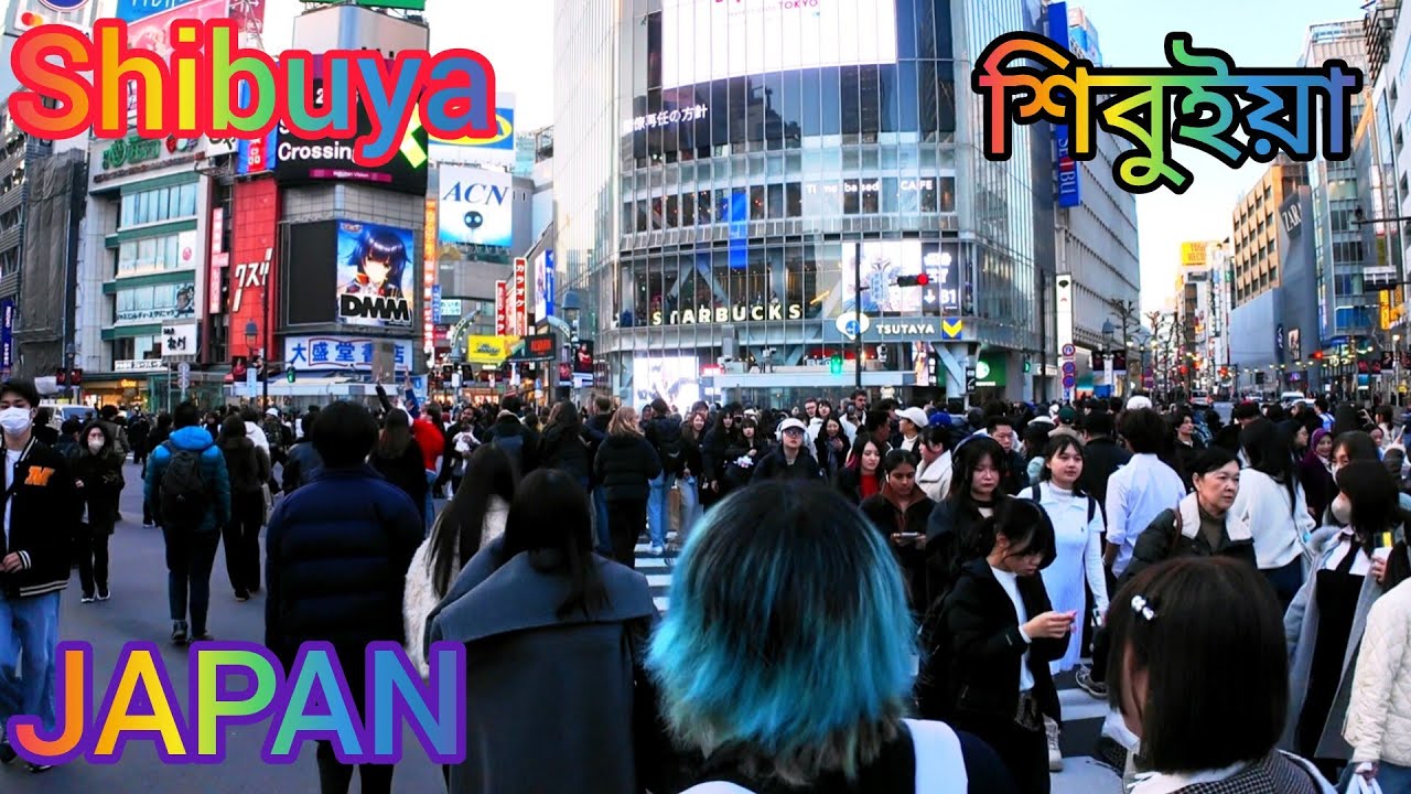 Shibuya evening walking tour & sightseeing. Tokyo, Japan. 