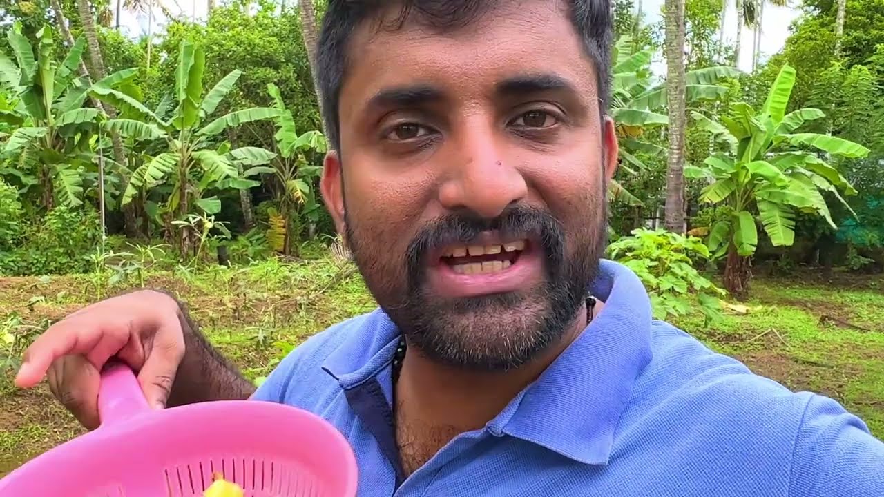 Mulaku kandu Njetti amma 😳
