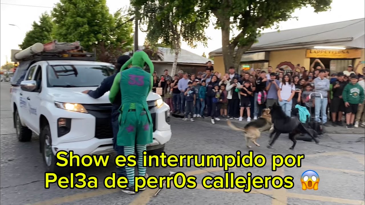 BUFÓN NAMASTÉ en Cabrero de chile / Gira “Avanche al centro sur de chile” 
