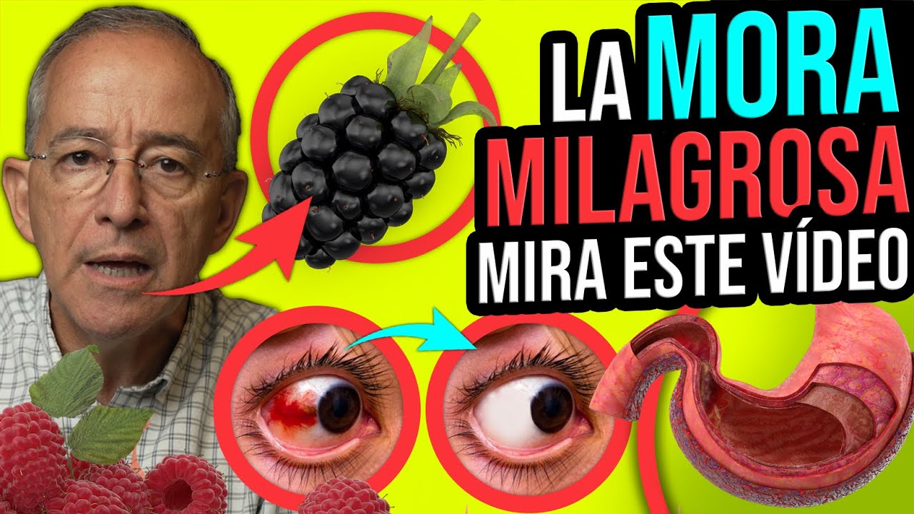 INCREIBLE LA MORA ES LA JOYA DE LAS FRUTAS MUCHOS BENEFICIOS CONTRA EL CANCER - Oswaldo Restrepo RSC