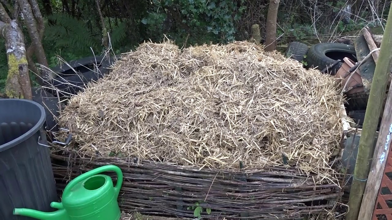 Cottage Garden Planting, Pruning and Composting