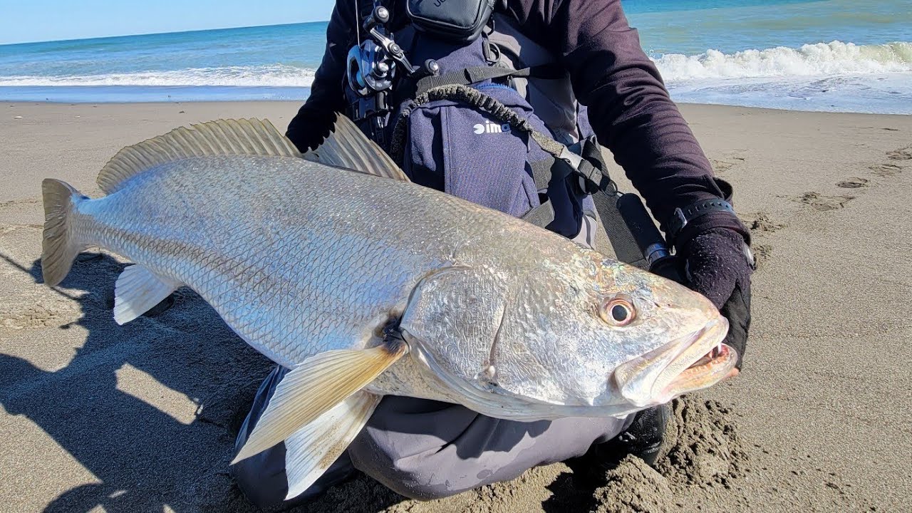 釣り楽【砂潮鱗】260107昼