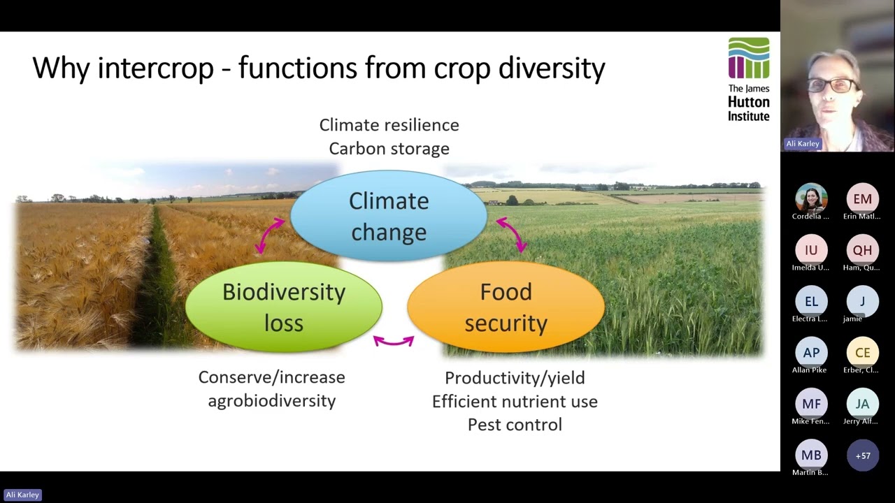 Agronomy of Intercropping Webinar: March 2025