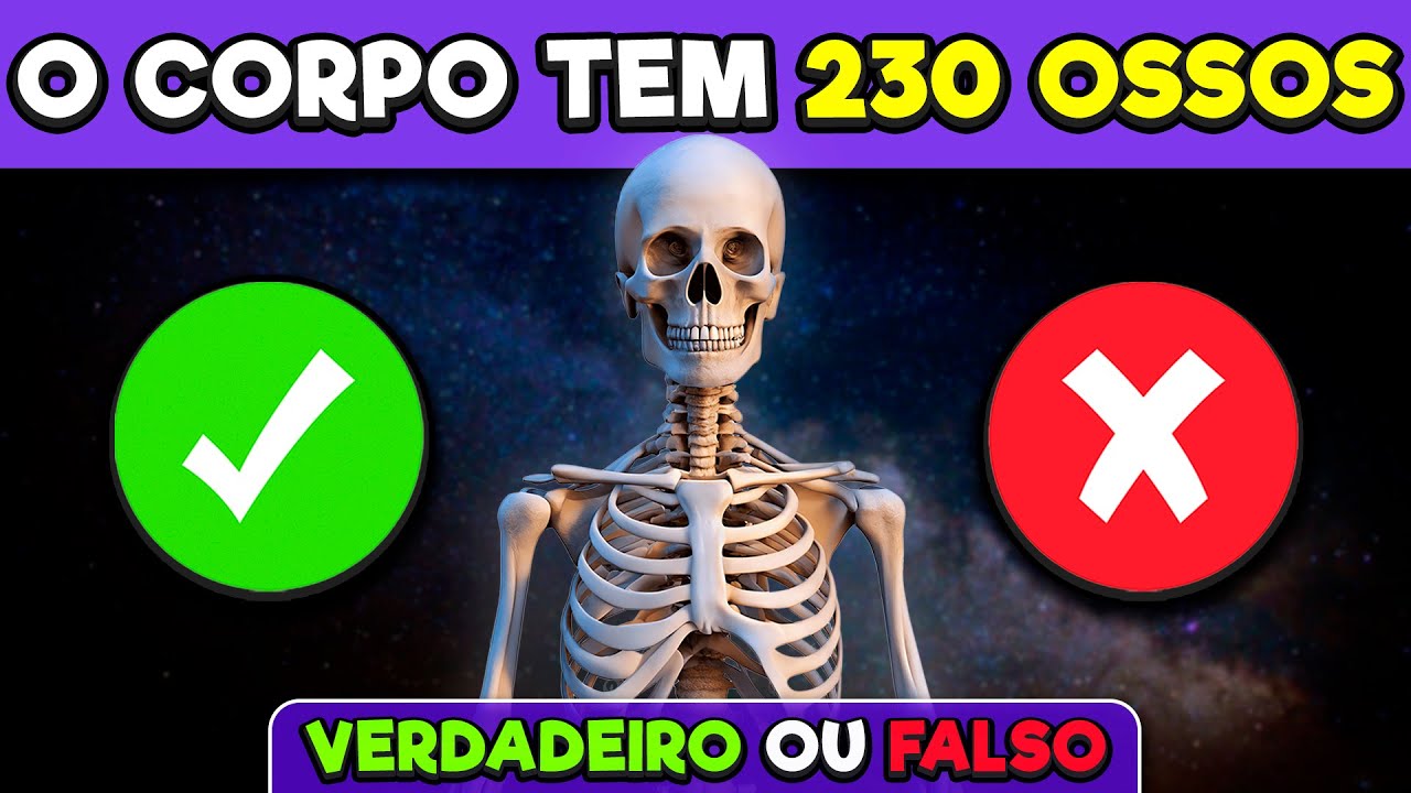 ✅ Verdadeiro ou falso? ❌| Teste o Seu Conhecimento | Mundo Quiz