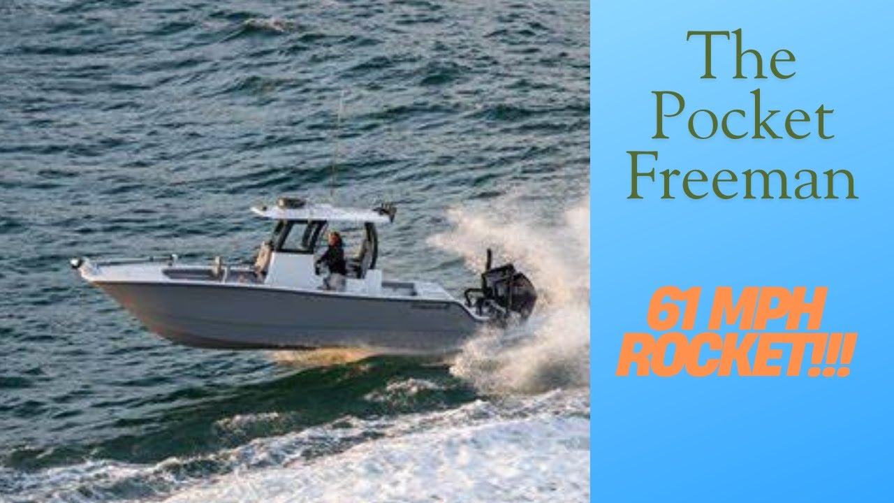 Freeman 28' Catamaran - Detailed Walkthrough and on Water Performance