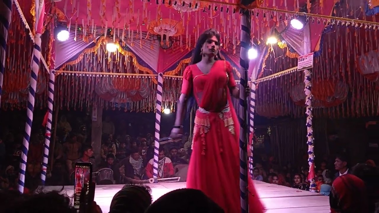 কোথায় গেলে আমি পাব সেই পাখি রাজাকে ও পাখি রাজা কোথায় গো তুমি 
