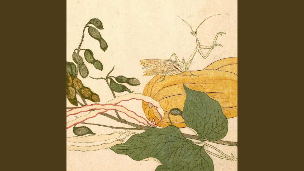 Nectarine