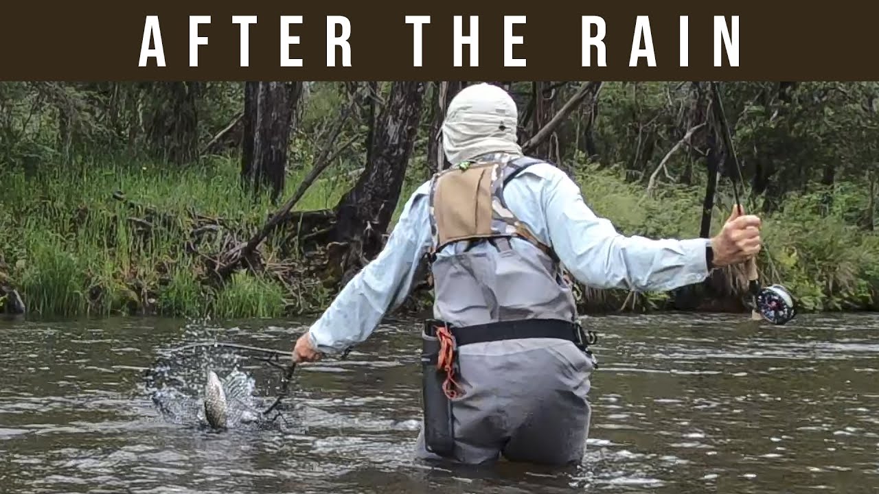 Fly Fishing Tactics: How to find Trout After RAIN