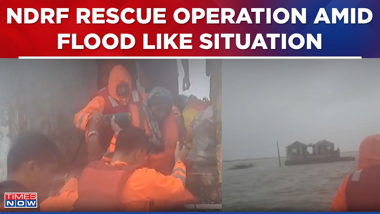 Gujarat Floods: NDRF Rescues 95 People Amid Heavy Rain And Massive Flooding | English News