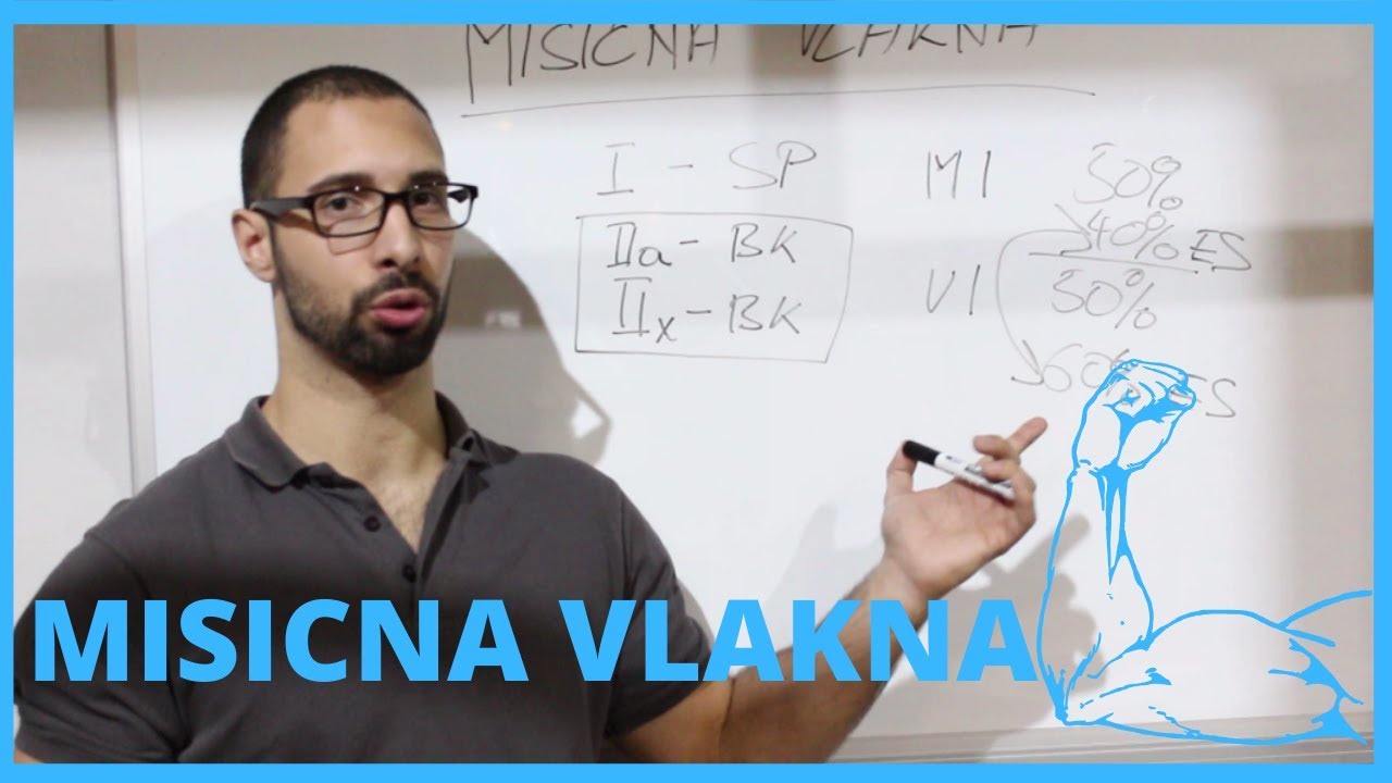 Misicna Vlakna i Njihova Funckija