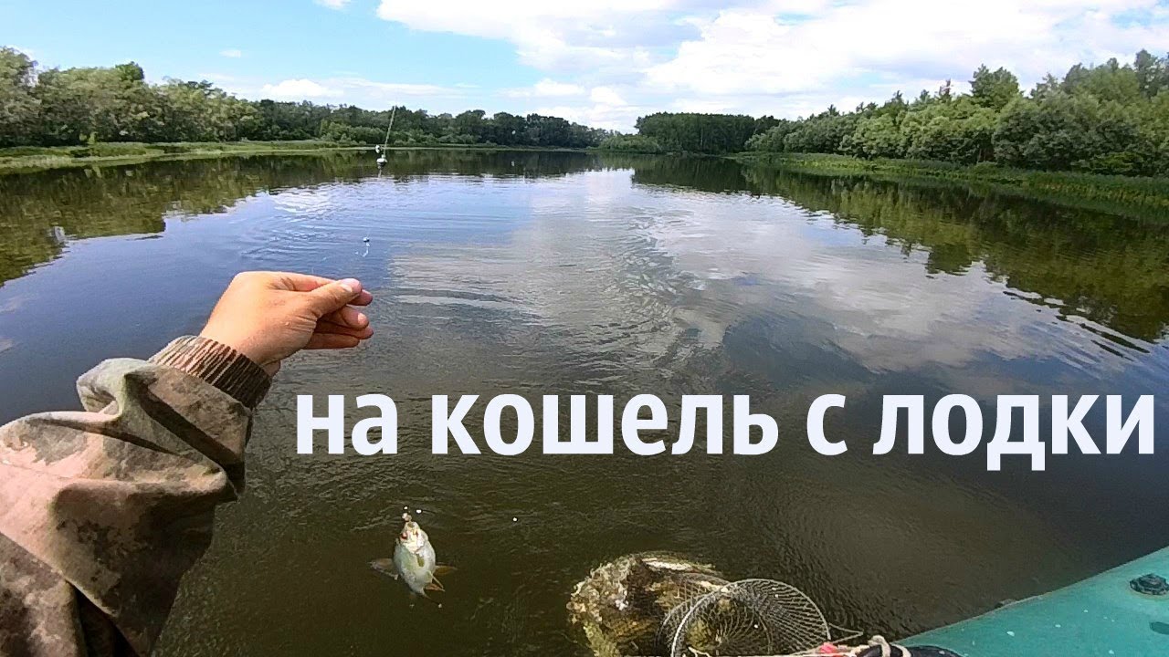 рыбалка с лодки на кошель
