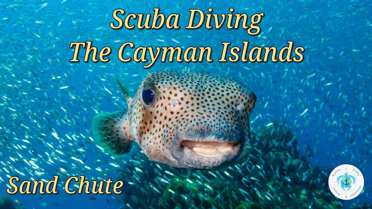 Scuba Diving Grand Cayman Island Sand Chute